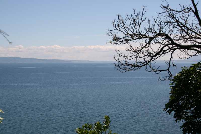 Nieuw-Zeeland 2011 - 0813